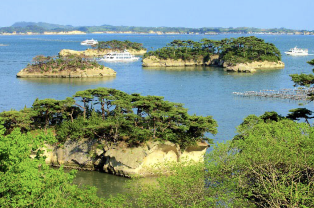 宮城より開催のお知らせ
